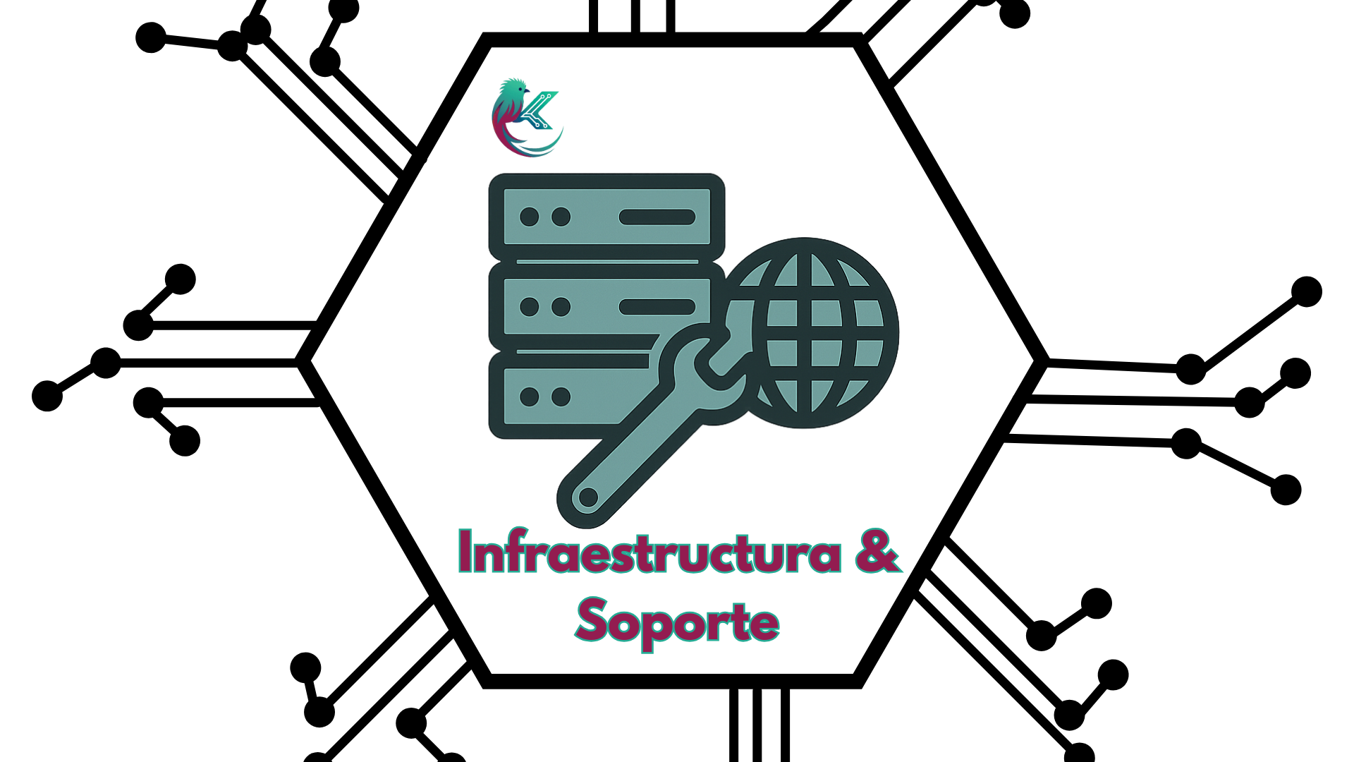 Automatización & Business Intelligence